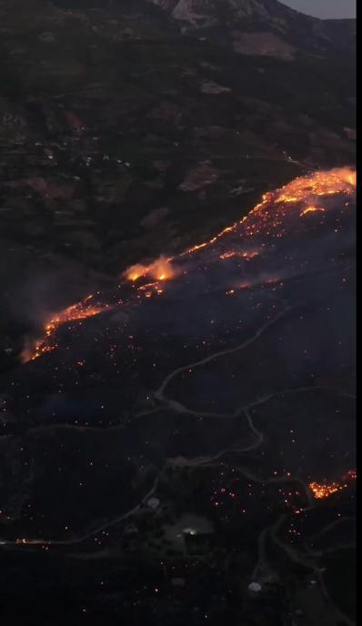 Alanyada orman yangını