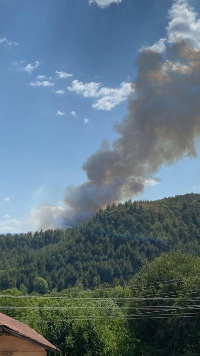 Karabükte orman yangını