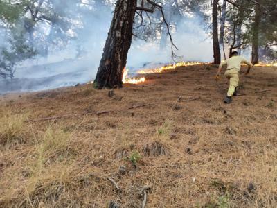 Kahramanmaraş’taki orman yangınında 2nci gün