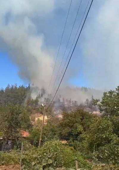 Balıkesirde orman yangını 2 saatte kontrol altında