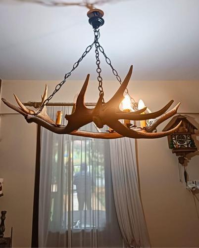 Tekirdağda tahnit ve trofelerden oluşan 40 parça ele geçirildi