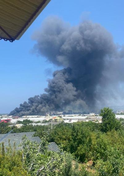 Antalyada fide üretim tesisinde yangın