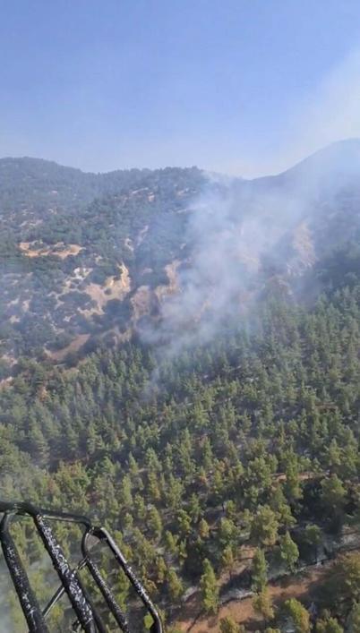 Aydındaki orman yangını 3üncü gününde