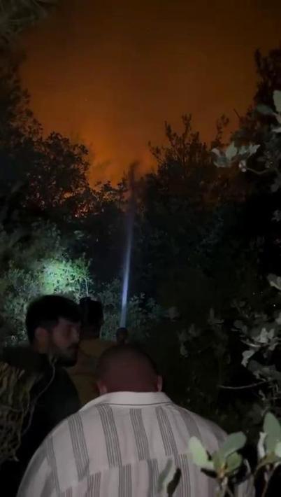 Sakaryadaki orman yangını 3üncü gününde