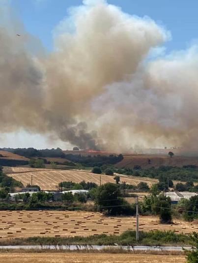 Bursa’da buğday tarlasında çıkan yangın, ağaçlık alana sıçradı