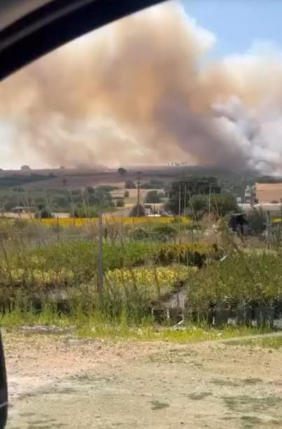 Bursa’da buğday tarlasında çıkan yangın, ağaçlık alana sıçradı