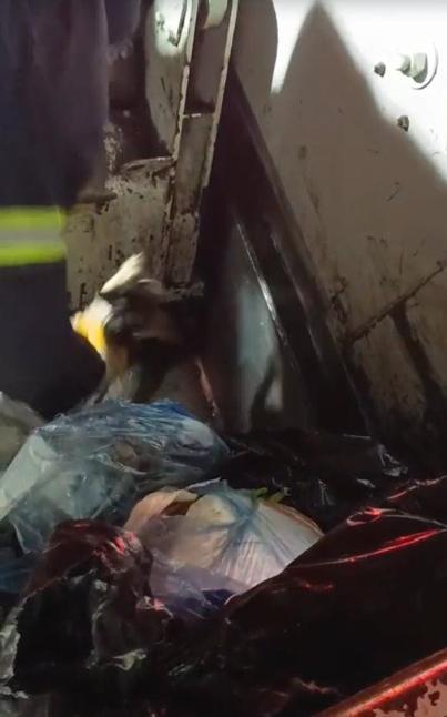 Konteyneri boşaltırken gördükleri ağzı bağlanmış poşetteki kediyi kurtardılar