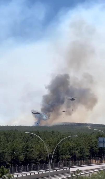 Ankarada Eymir Gölü çevresindeki ormanda çıkan yangın kontrol altında
