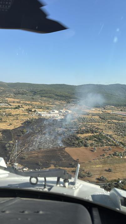 Bodrumda tarım arazisinde yangın, 2 hektar zarar gördü