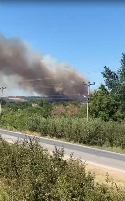Çanakkale’de orman yangını kontrol altında