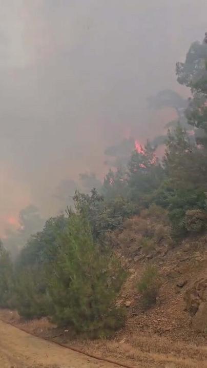 Balıkesirde orman yangını