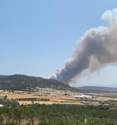 İzmirde orman yangını; 4 gözaltı