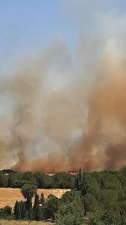 Çanakkalede çıkan orman yangını kontrol altında