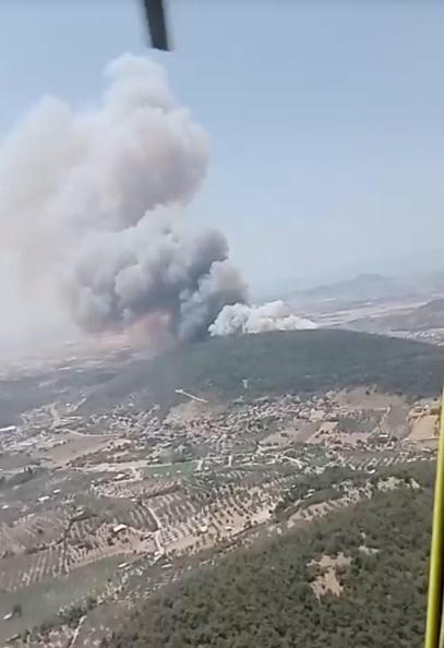 İzmirde çıkan orman yangını kontrol altında; 4 gözaltı