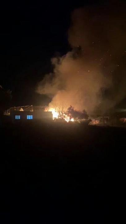 Adanada bir evin deposunda çıkan yangından 40 güvercin öldü