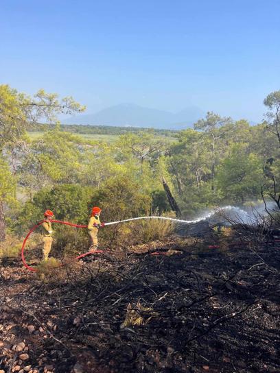 Muğladaki ormanı yangını 2,5 saate kontrol altına alındı