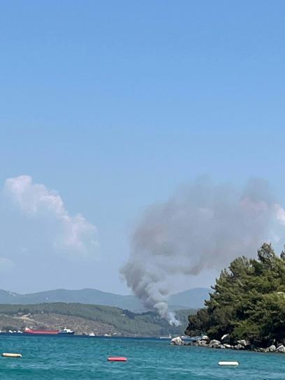 Bodrumda orman yangını