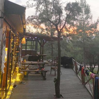 KKTCde eğitim gören Elif, 6 aydır kayıp gıda mühendisi babasını arıyor