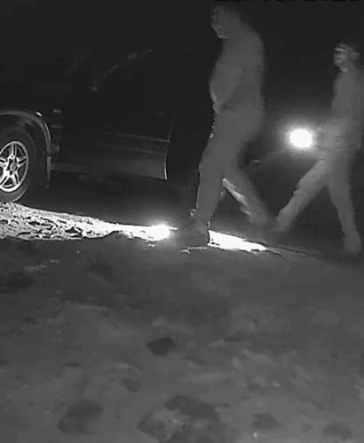 Ormanda bozayı vuran kaçak avcılara toplam 170 bin TL ceza