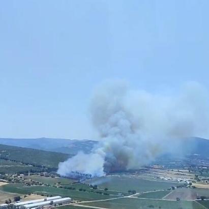 İzmirde orman yangını