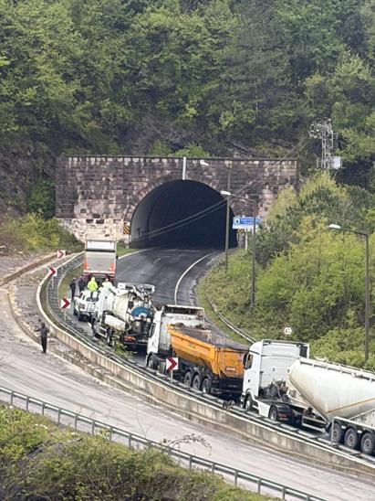 Heyelanda kaya ve dal parçaları elektrik hattını kopardı