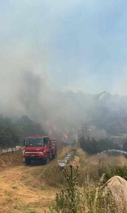 Balıkesirde orman yangını