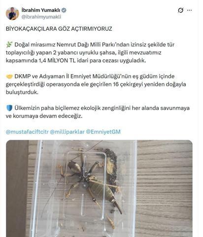 Nemrut Dağından çekirge toplayan 2 kişiye 1,4 milyon lira ceza