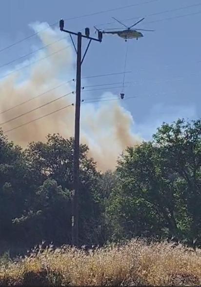 Boluda çıkan orman yangını kontrol altında