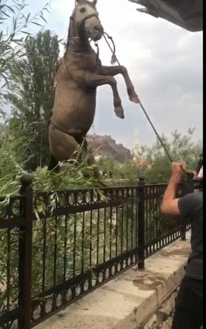 Oltu’da sel suları köprü yıktı, evleri su bastı