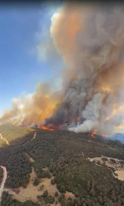 İzmirde çıkan orman yangını kontrol altında