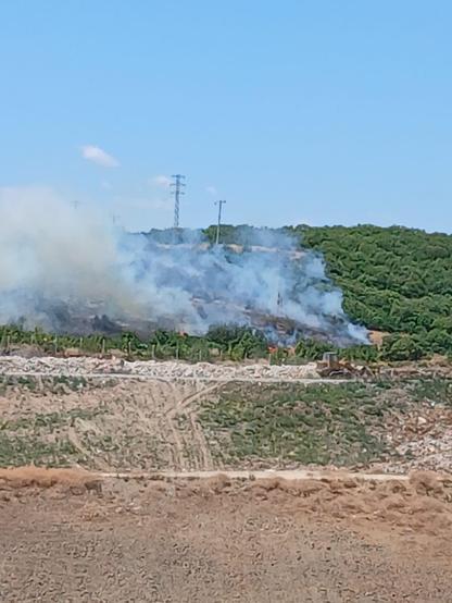 Bursanın 2 ilçesinde orman yangını