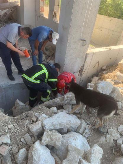 Enkazda sıkışan yavru köpekler kurtarıldı, anneleri bir an olsun başlarından ayrılmadı