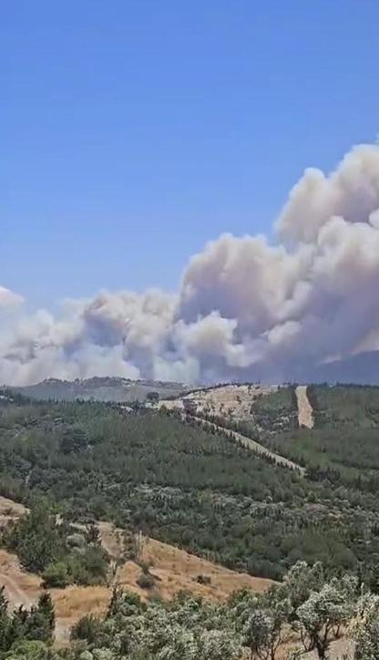 İzmirde 2 ayrı noktada orman yangını