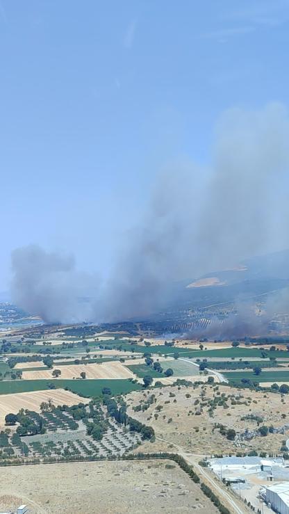 İzmirde orman yangını