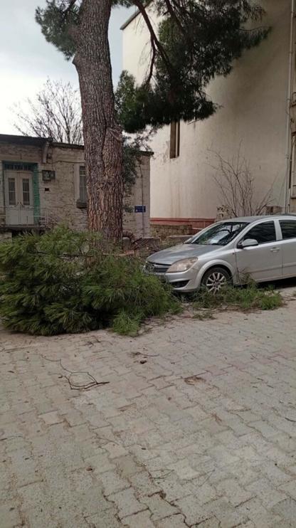 Buldanda kuvvetli fırtına, baca kapağını uçurdu, ağacı devirdi