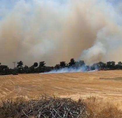 Çanakkale’de orman yangını