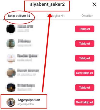 9 gün arayla öldürülen İlayda ve Helin’in katilleri yakın arkadaşmış