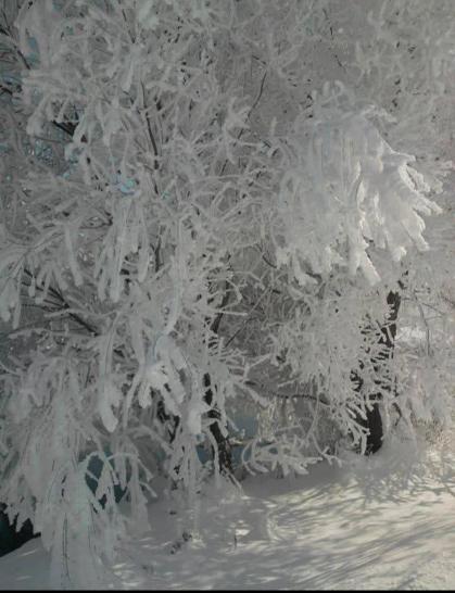 Adana Tufanbeylide termometreler eksi 28 dereceyi gösterdi