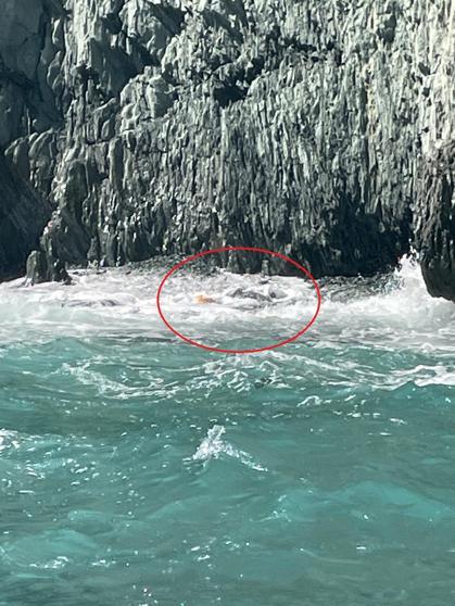 Teknesi parçalanmış halde bulunan iş insanını 13 kurbağa adam arıyor