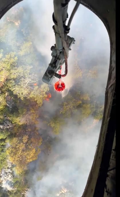 Antalyada çıkan orman yangını kontrol altında