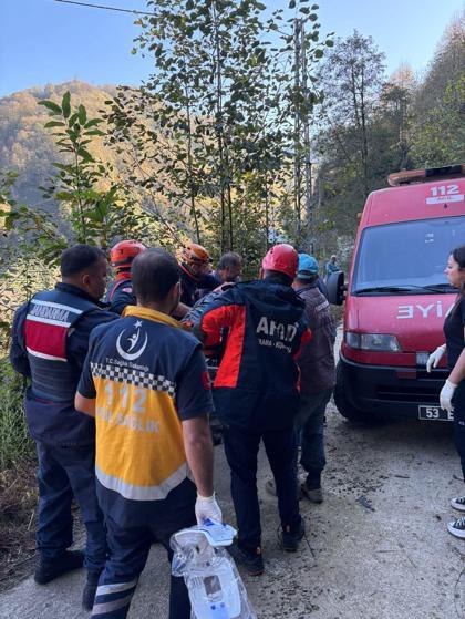 Arı kovanlarının bulunduğu ahşap yapı devrildi; 2 ölü, 1 yaralı