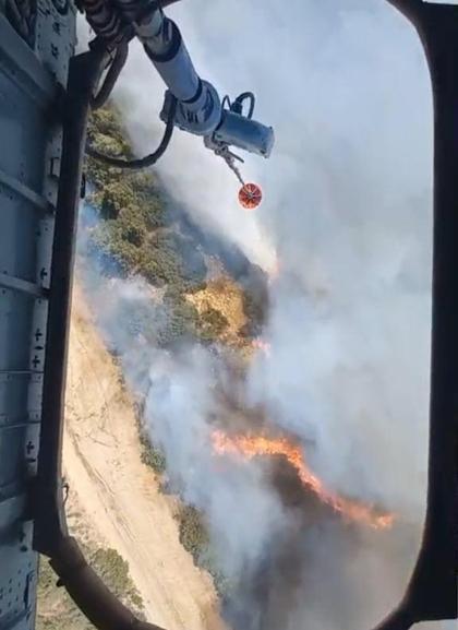 İzmir Aliağada orman yangını