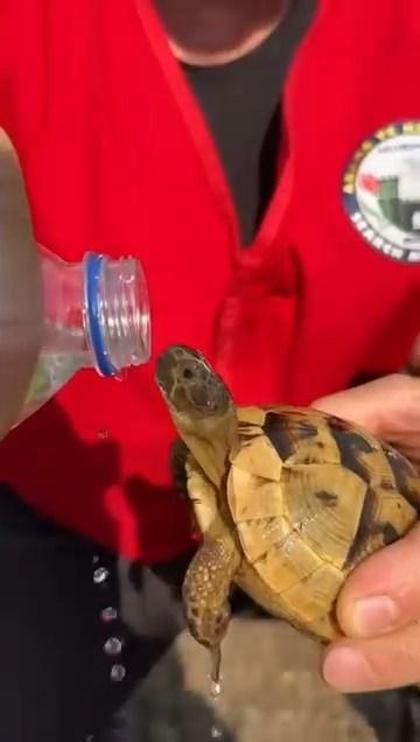 Bursadaki orman yangını 4üncü gününde; yanan alanlar dronla görüntülendi