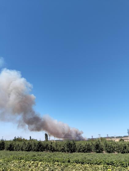 Çanakkale’de orman yangını kontrol altında