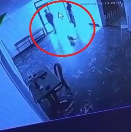 Belediyeye ait tesiste kediye tekmeli müdahale kamerada