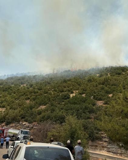 Gaziantepte çıkan orman yangını kontrol altında