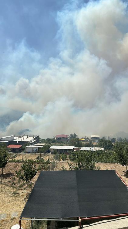 İzmirde orman yangını, 2 mahalle boşaltıldı