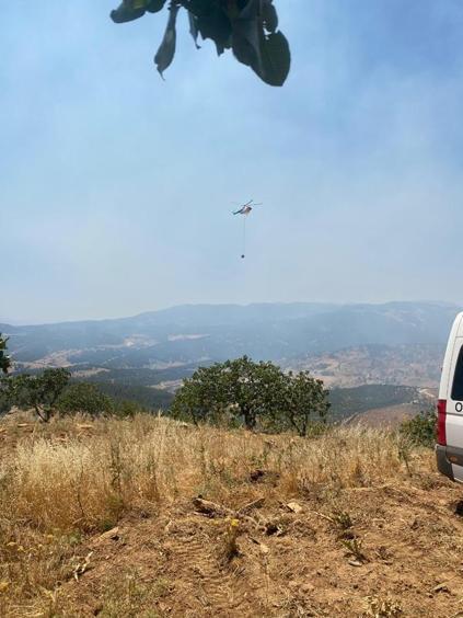 Kahramanmaraş çıkan 2 ayrı orman yangınından biri kontrol altında