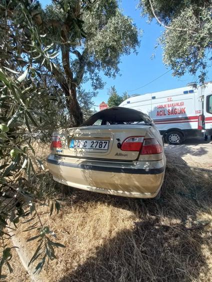 Otomobil zeytin ağacına çarptı, sürücü öldü
