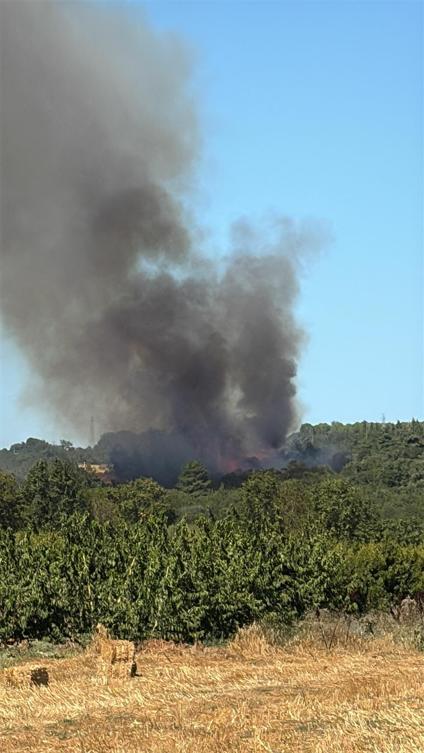 Çanakkale’de orman yangını kontrol altında